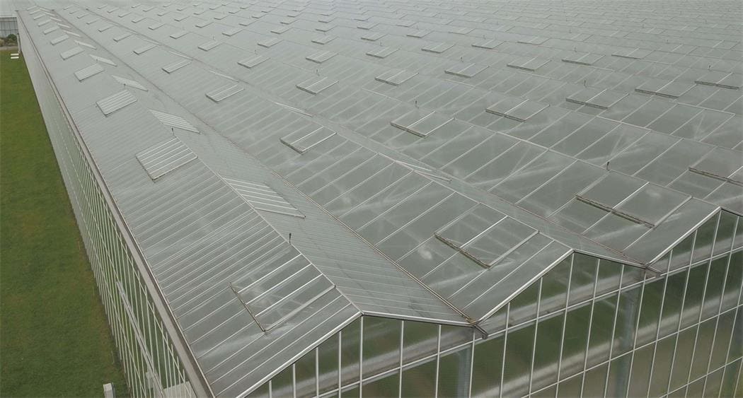 diffused-glass-greenhouse